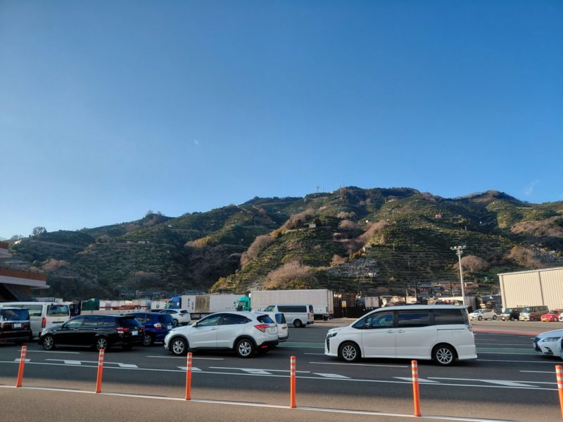 みかんの段々畑